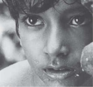 Pather_Panchali_02_fmt