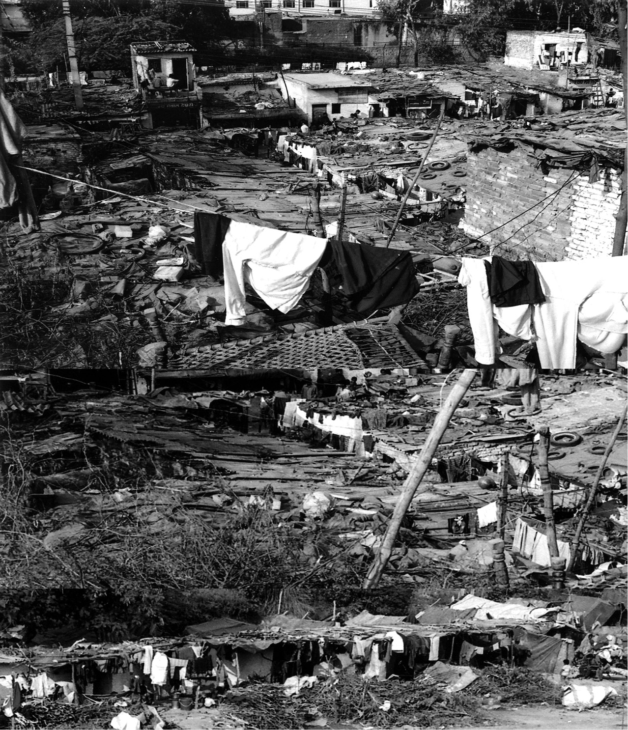 slum_collage.tif