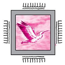 herons%20box.tif