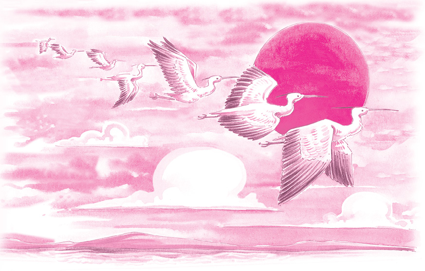 herons.tif