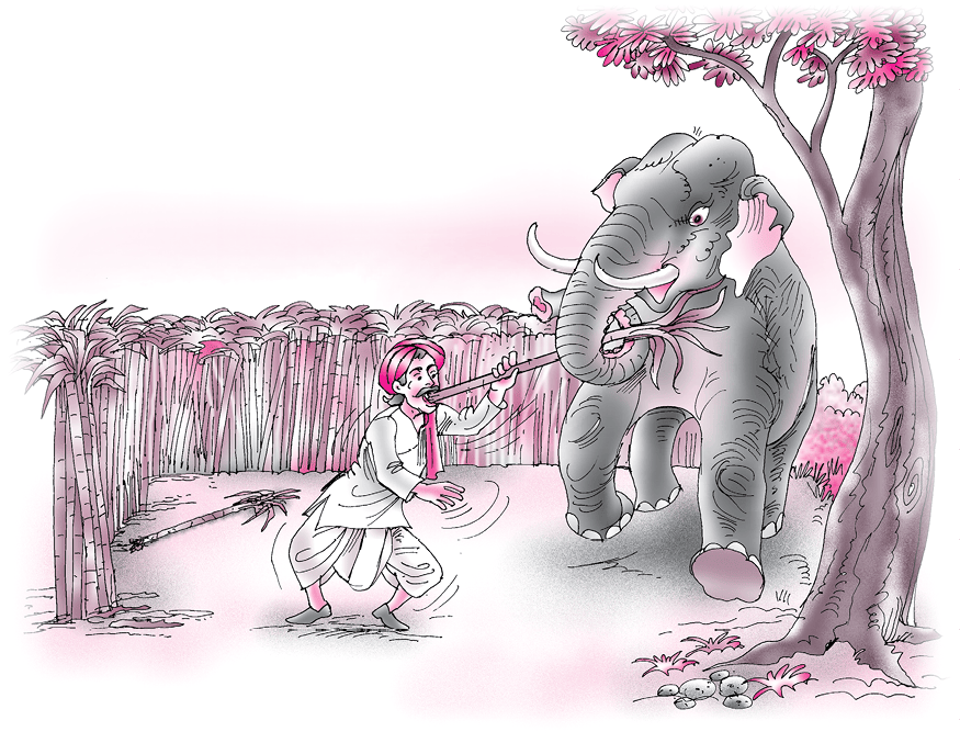 T-Lesson-6-b.tif