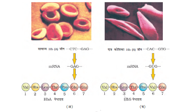 5.17