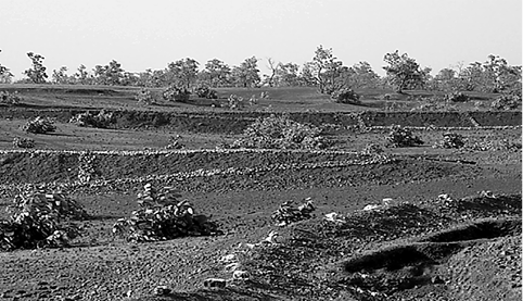 Land%20degradation-1.tif