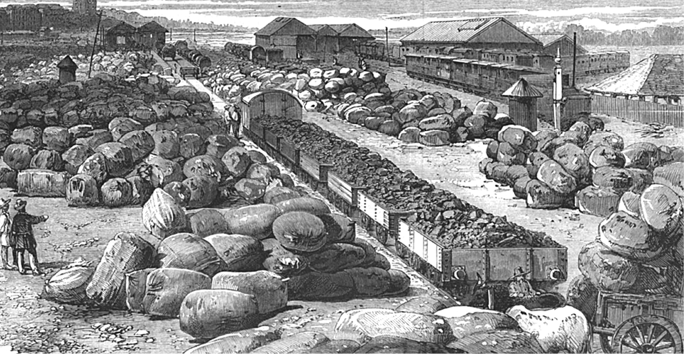 Cotton Bales_fmt