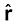 3150.png