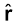 3160.png