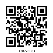 12077—Bhaswati Part-II Chapter-3