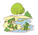 ch5fig31