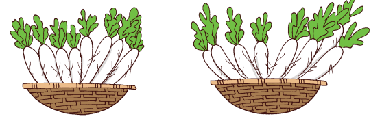 Ch6fig8