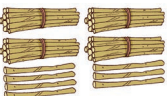 Ch8fig31