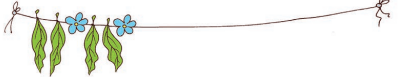 ch9fig4