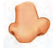 nose