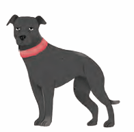 dog