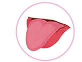 tongue