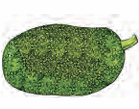 jackfruit