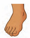 foot