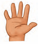 hand
