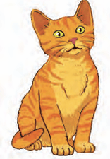cat