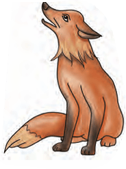 fox