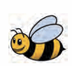 bee