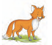 fox