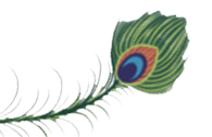 feather
