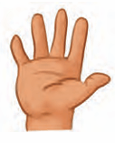 hand