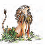 lion