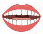 mouth