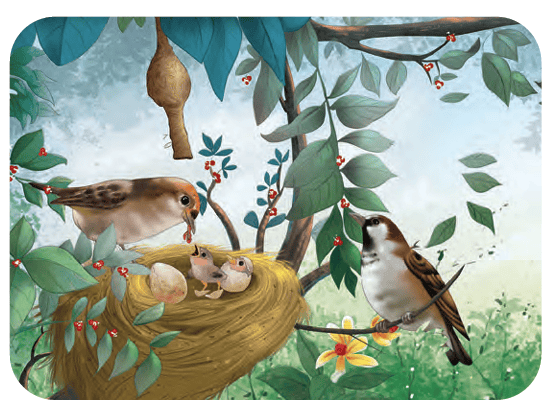 nest