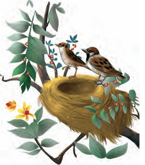 nest