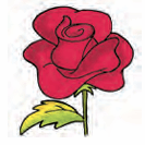 rose