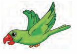 parrot