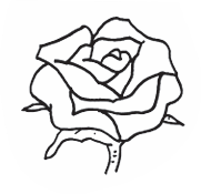 rose