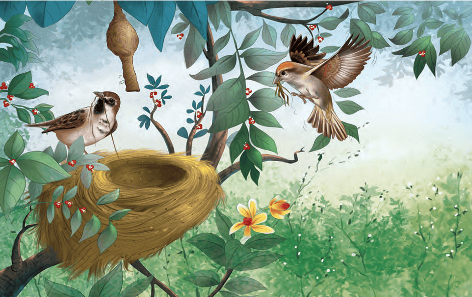 nest