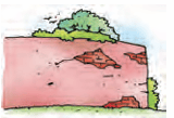 wall
