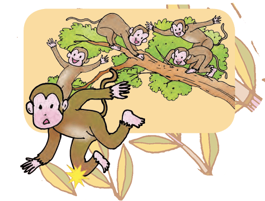 monkey