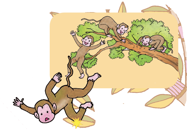 monkey