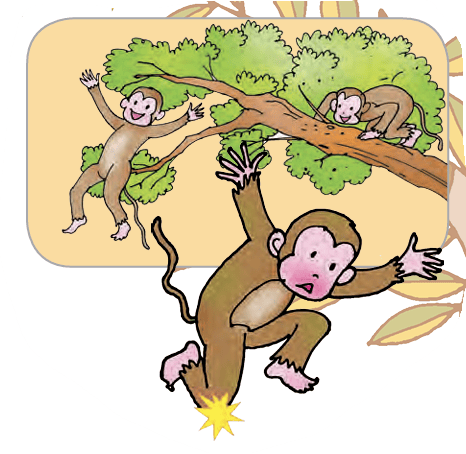 monkey