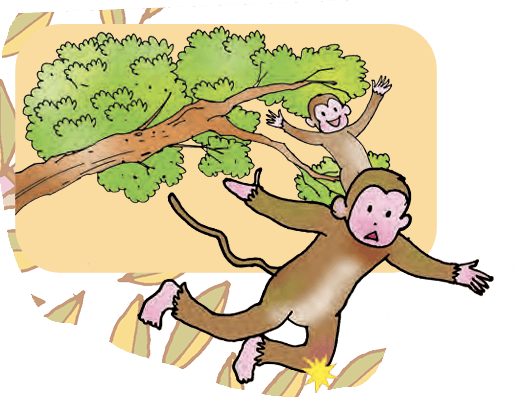 monkey