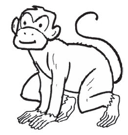 monkey