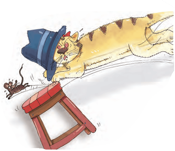cat
