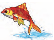 fish