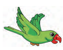 parrot