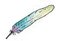 quill