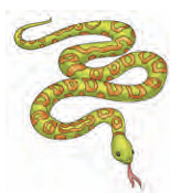 snake
