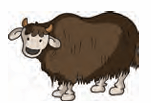 yak