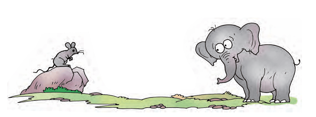 rat-elephant