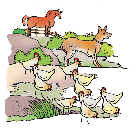 farm