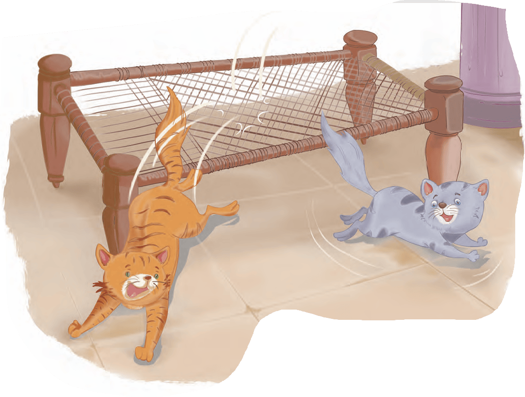 cat